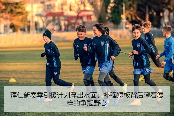 拜仁新赛季引援计划浮出水面，补强短板背后藏着怎样的争冠野心 - maiqiuzhan